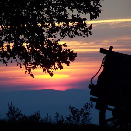 Agriturismo Le Vigne Foligno Bagian luar foto
