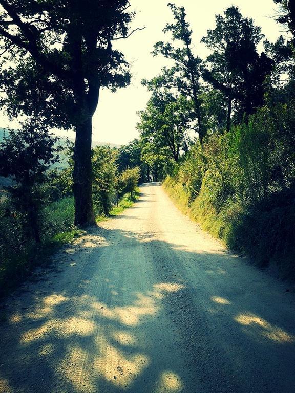 Agriturismo Le Vigne Foligno Bagian luar foto